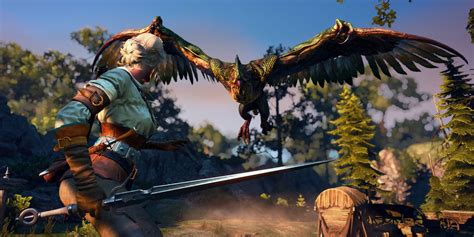 witcher 3 dragons
